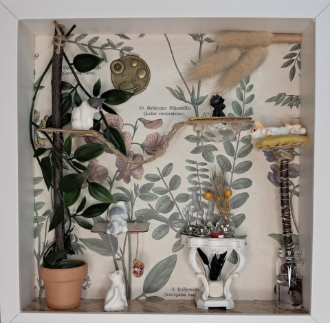 Kijkkastje Catio Kijkkastje 3