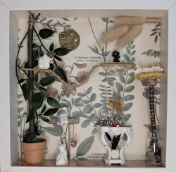 Kijkkastje Catio Kijkkastje 3