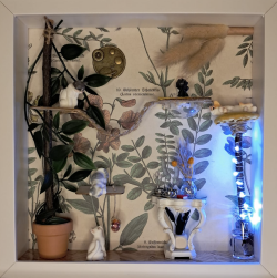 Kijkkastje Catio Kijkkastje 3 2